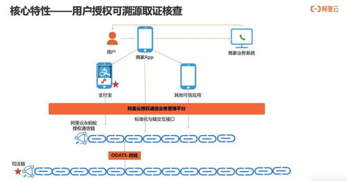 如何實現用戶通信授權的可信、可知、可追溯 通信授權服務技術解讀與信息系統集成